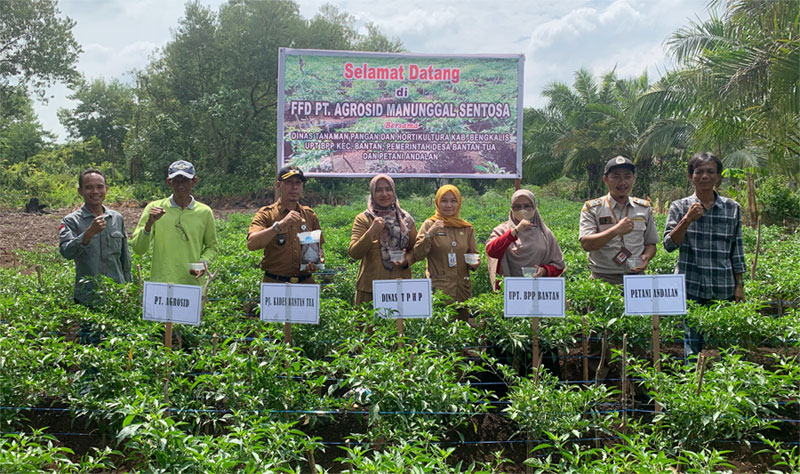 Canangkan Gerakan Tanam Cabai, DTPHP Bengkalis Dukung Kolaborasi Lintas Sektor