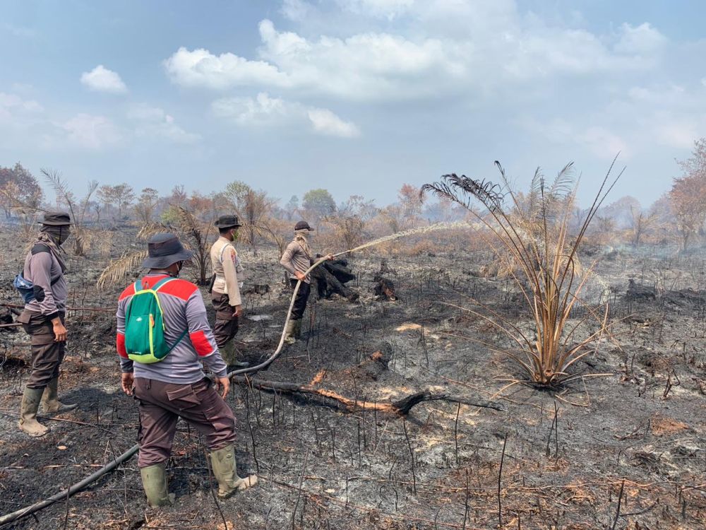 Petugas Gabungan Berjibaku Padamkan Karhutla di Rohil, 37 Hektare Lahan di 6 Kecamatan Terbakar