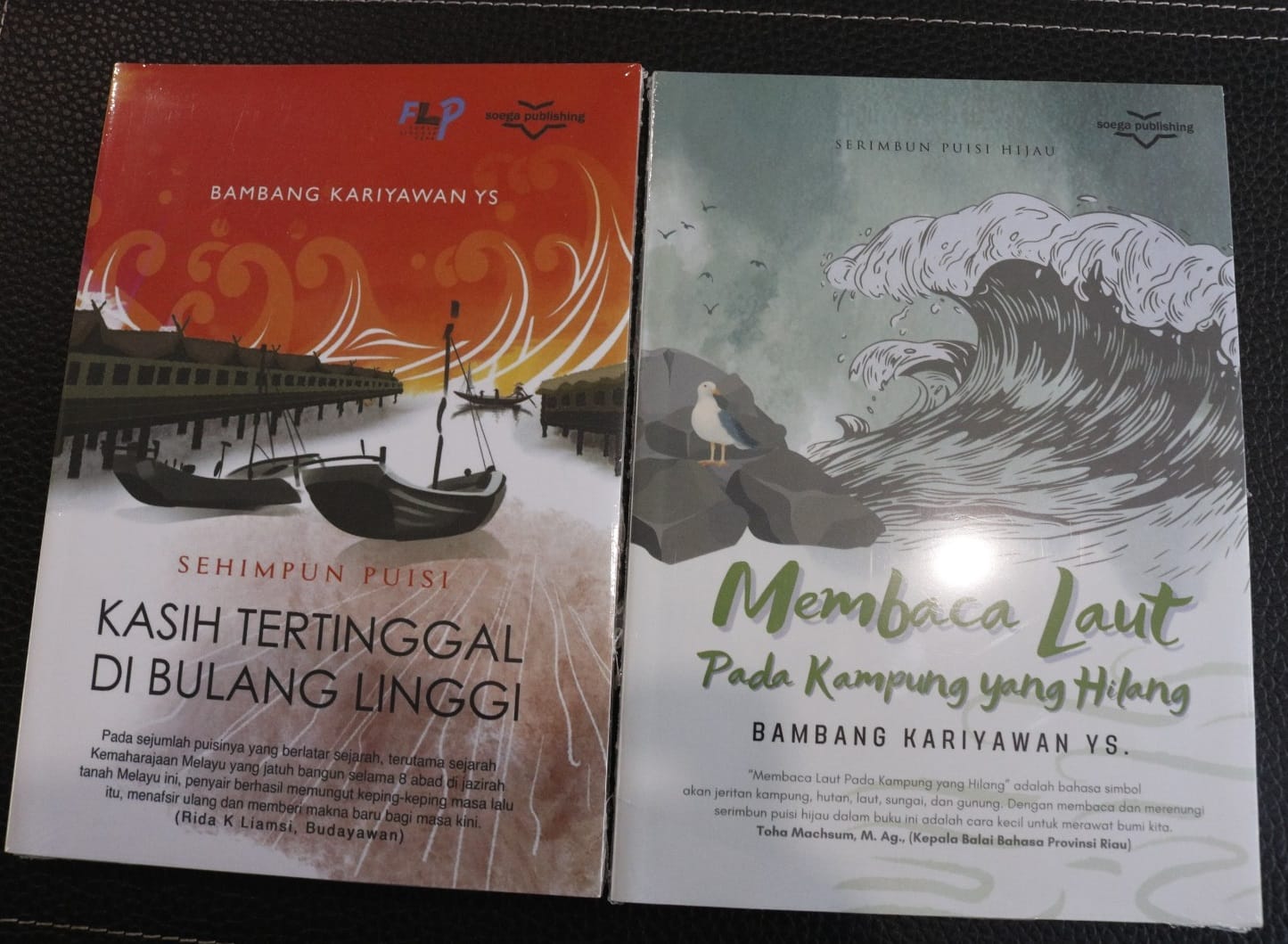 Perpustakaan Tenas Effendy Terima Hibah Buku Berjudul 