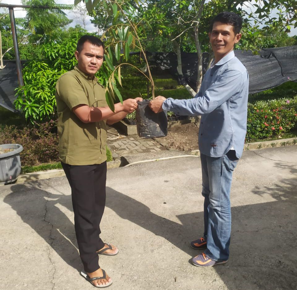 Terima Bibit Pengganti Pohon Pelindung, DLHK Segera Tindaklanjuti Laporan Masyarakat