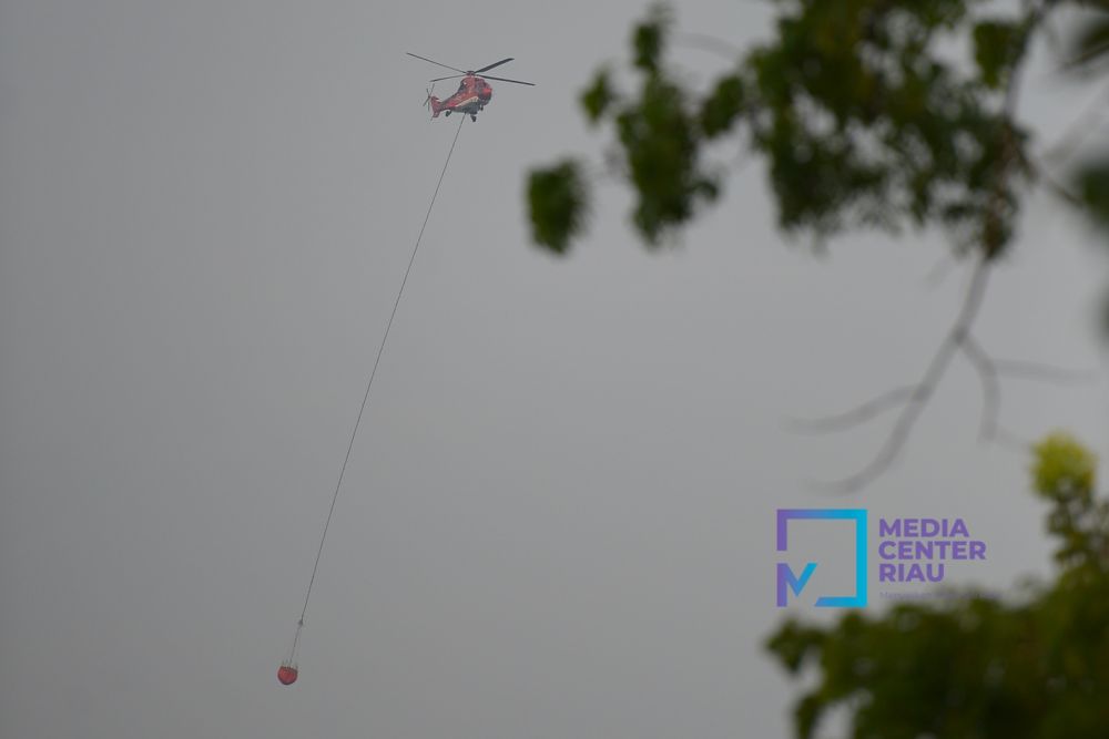 Karhutla di Sungai Apit Siak Berhasil Dipadamkan