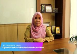 Pemprov Riau Proses Usulan Nama Calon Pj Bupati Inhil